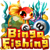 Câu Cá Bingo - Bai choi